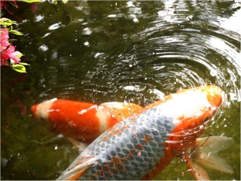 Atami Taikansou Buitenkant foto