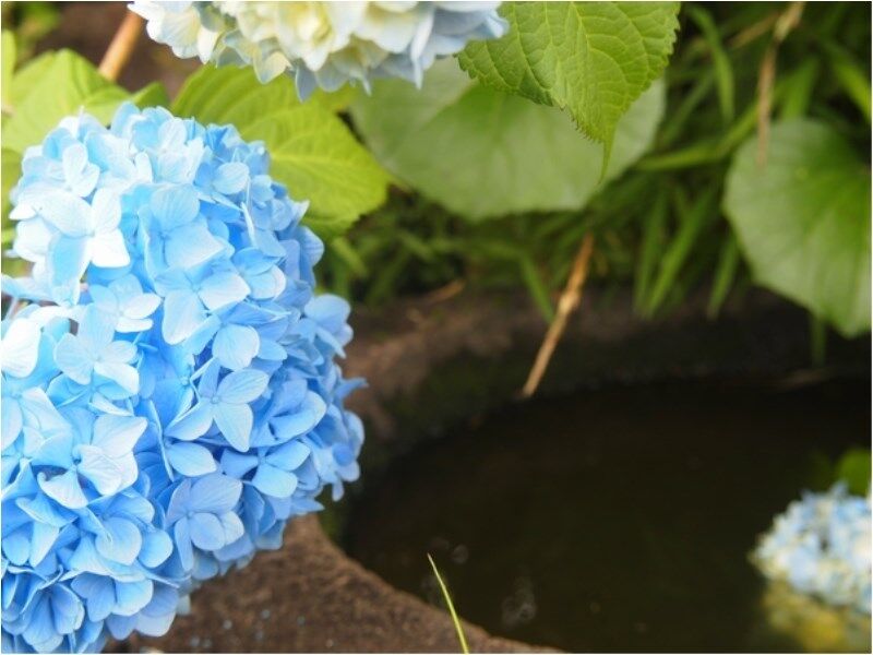 Atami Taikansou Buitenkant foto